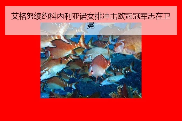 ai-ge-nu-xu-yue-ke-nei-li-ya-nuo-nv-pai-chong-ji-ou-guan-guan-jun-zhi-zai-wei-mian-3-980.jpg
