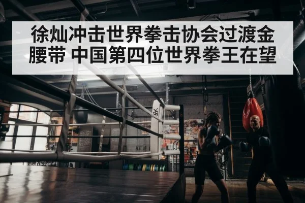 徐灿冲击世界拳击协会过渡金腰带 中国第四位世界拳王在望