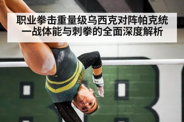 职业拳击重量级乌西克对阵帕克统一战体能与刺拳的全面深度解析